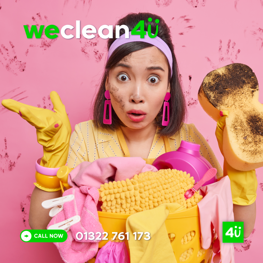 weclean4u cleaning myths