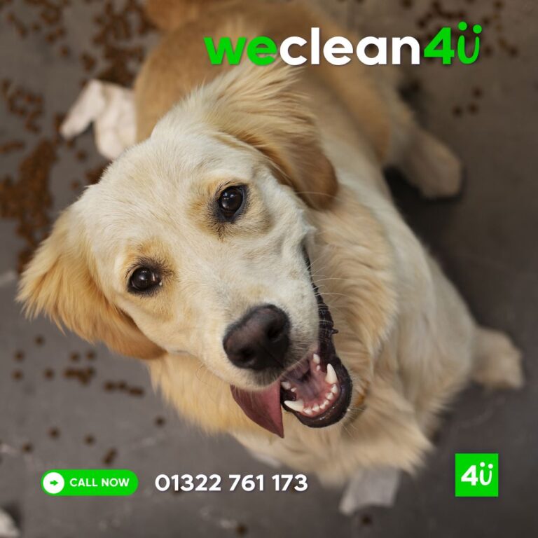 WeClean4u Pet-Friendly Cleaning